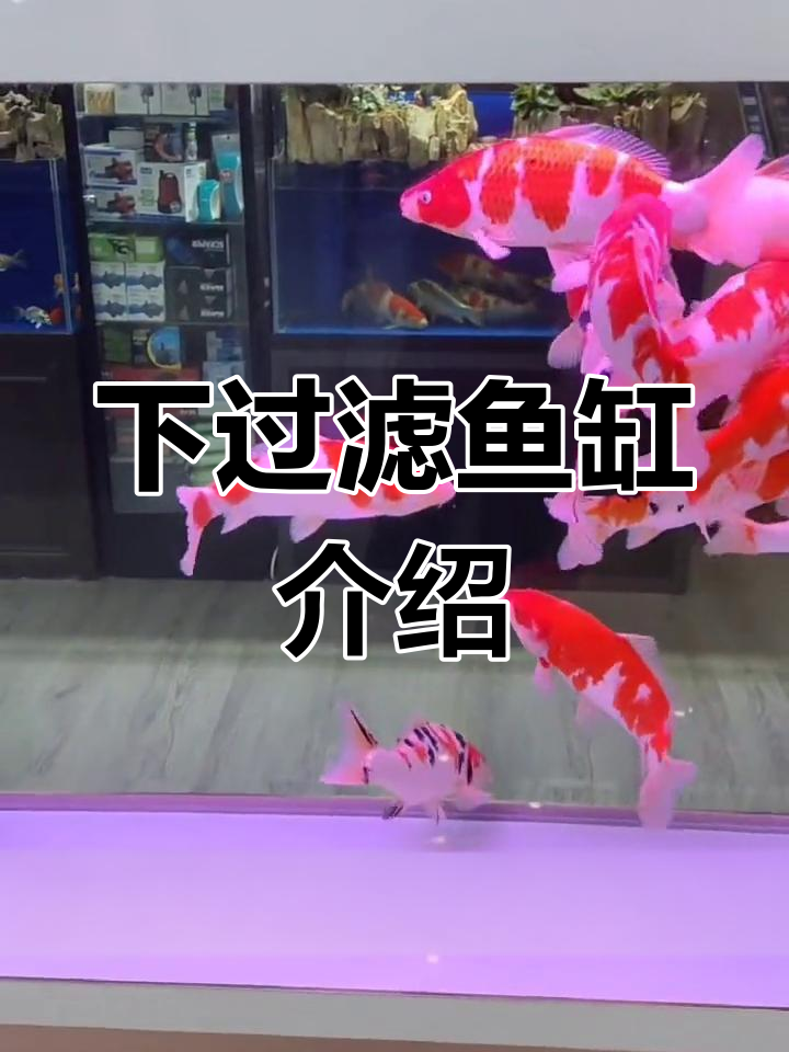 下过滤鱼缸优缺点分析
