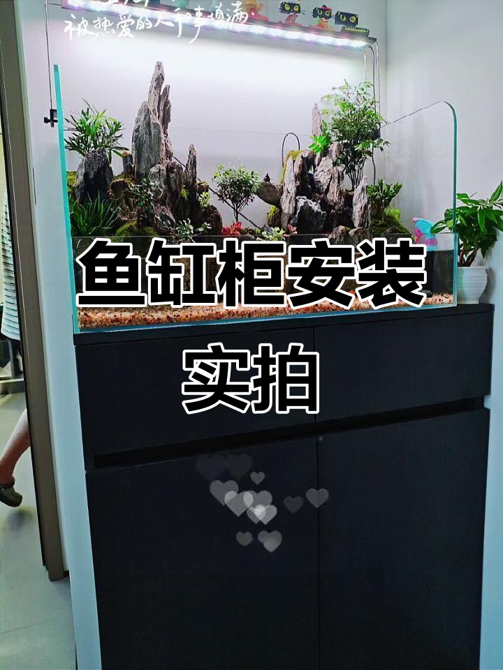 鱼缸柜落地效果大揭秘,完美搭配让家居更美观