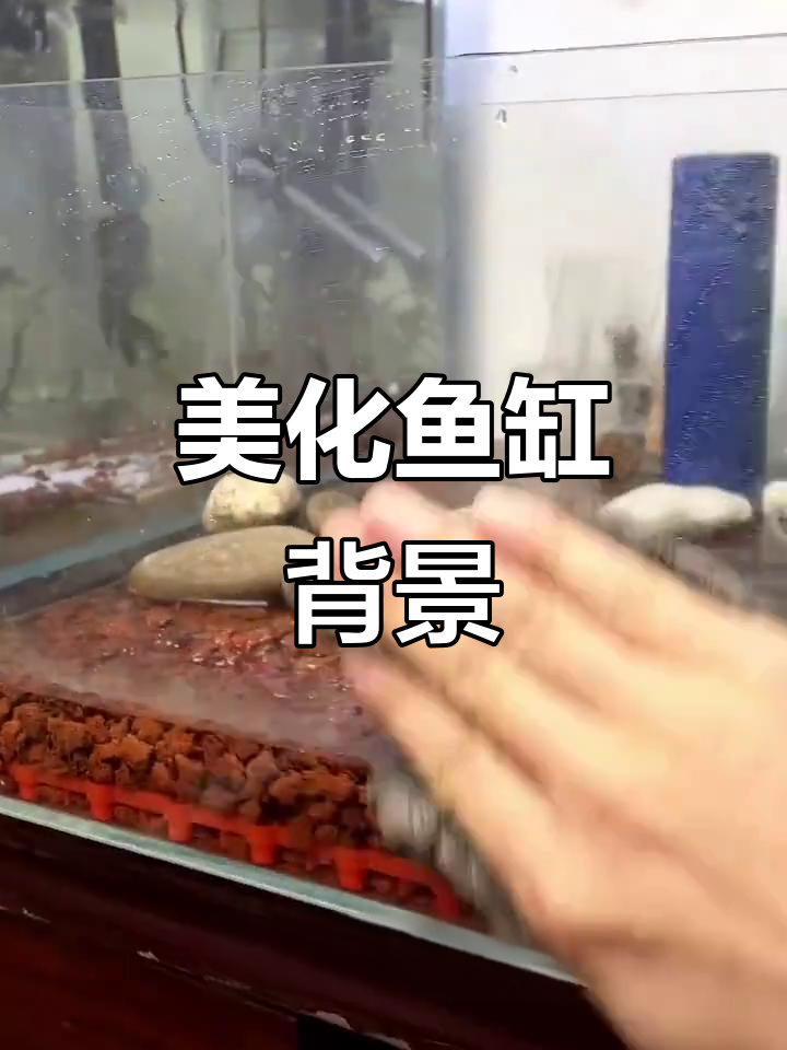 鱼缸背景纸，美化环境又隐藏线路，拍照更出彩！