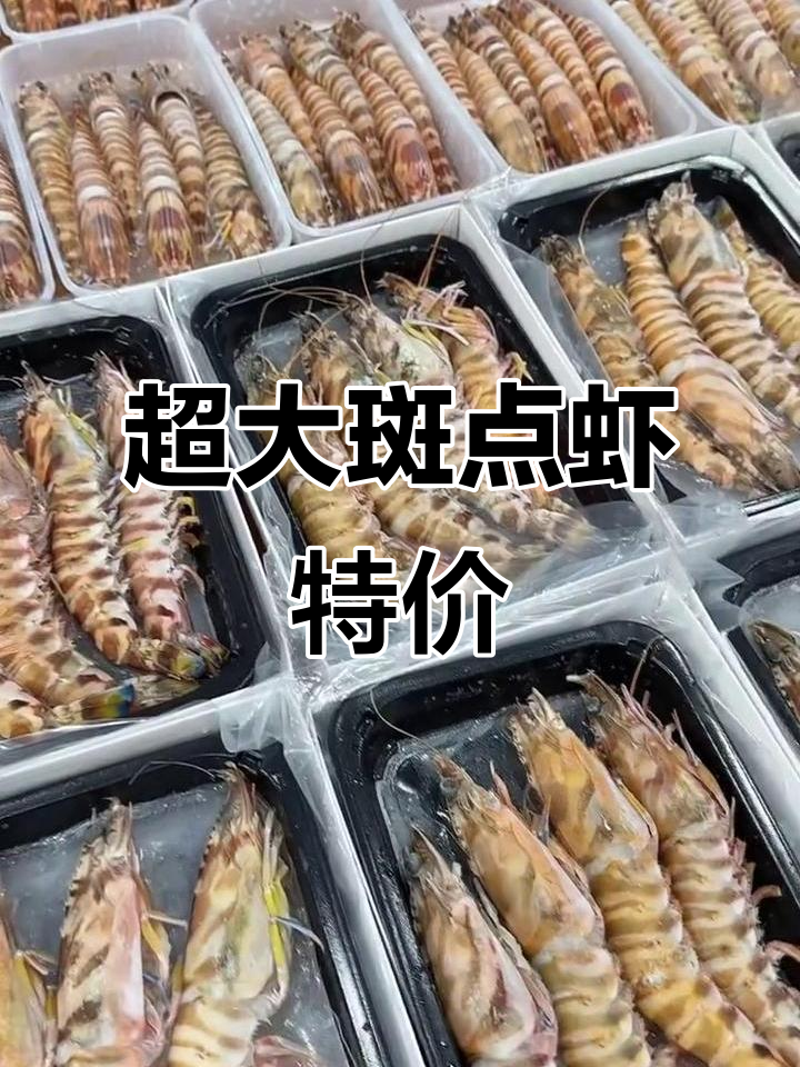 超大斑点虾到货，深海野生花虾超值优惠