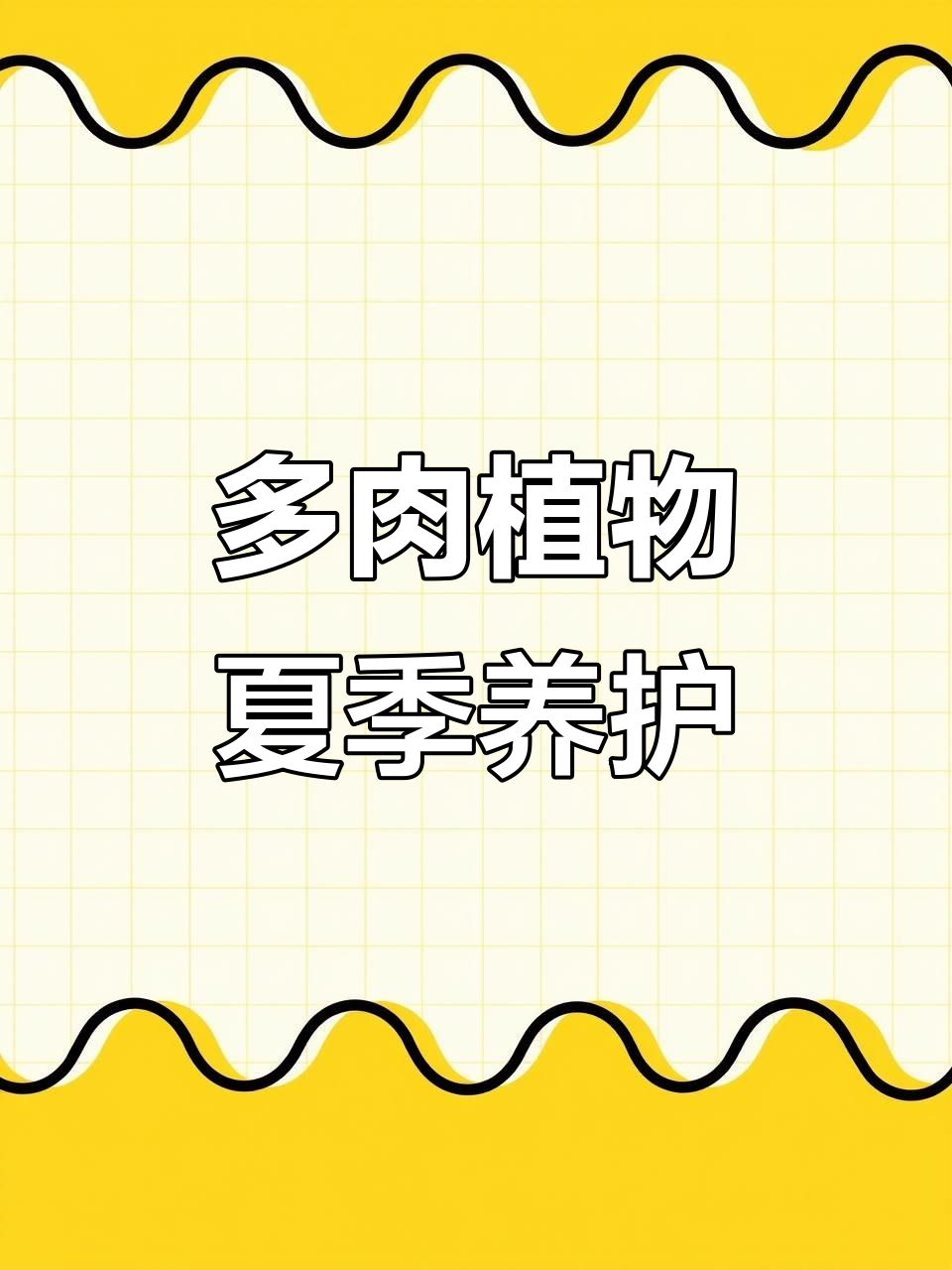 夏季多肉控养秘籍，鸡蛋玫瑰五圆十颗养护全攻略