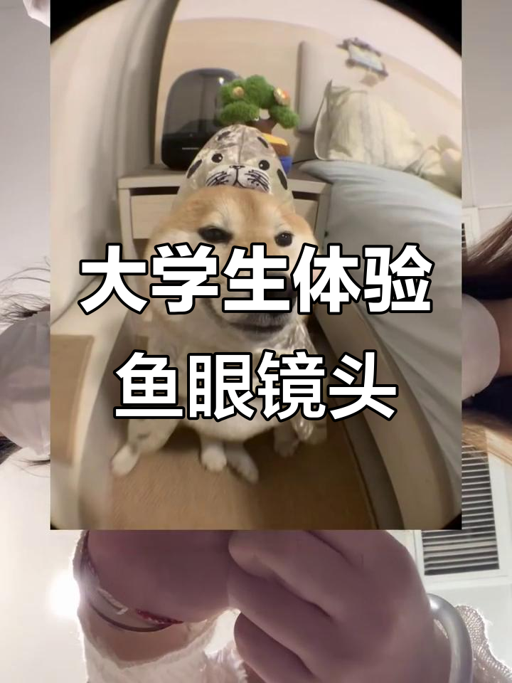 大学生实测鱼眼镜头:拍人像、风景效果惊艳!