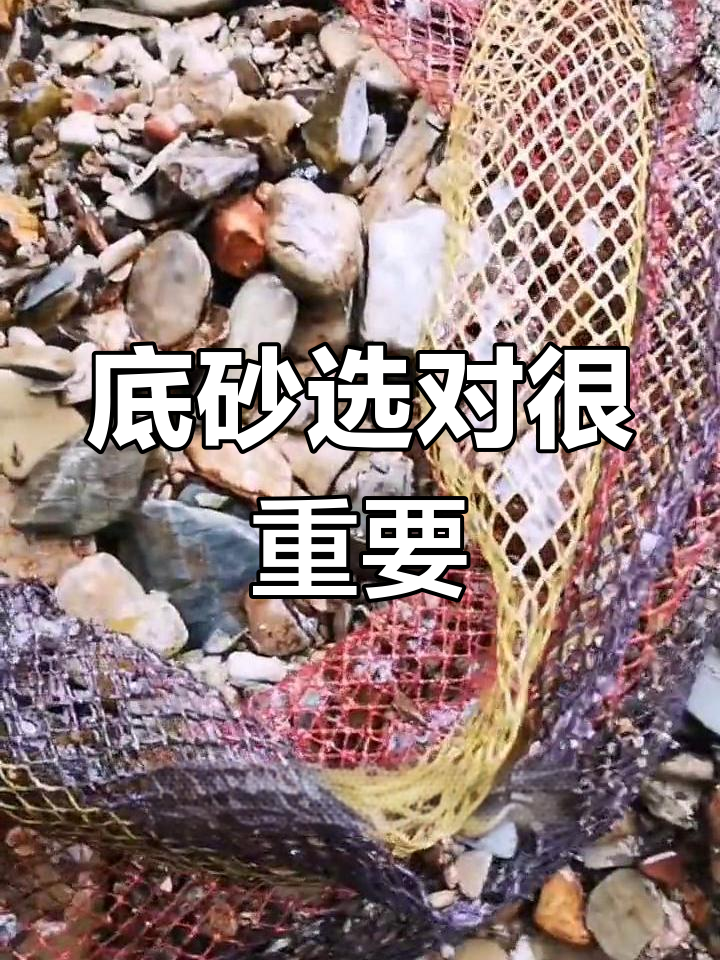 鱼缸底砂选择有讲究,粗细搭配才完美!