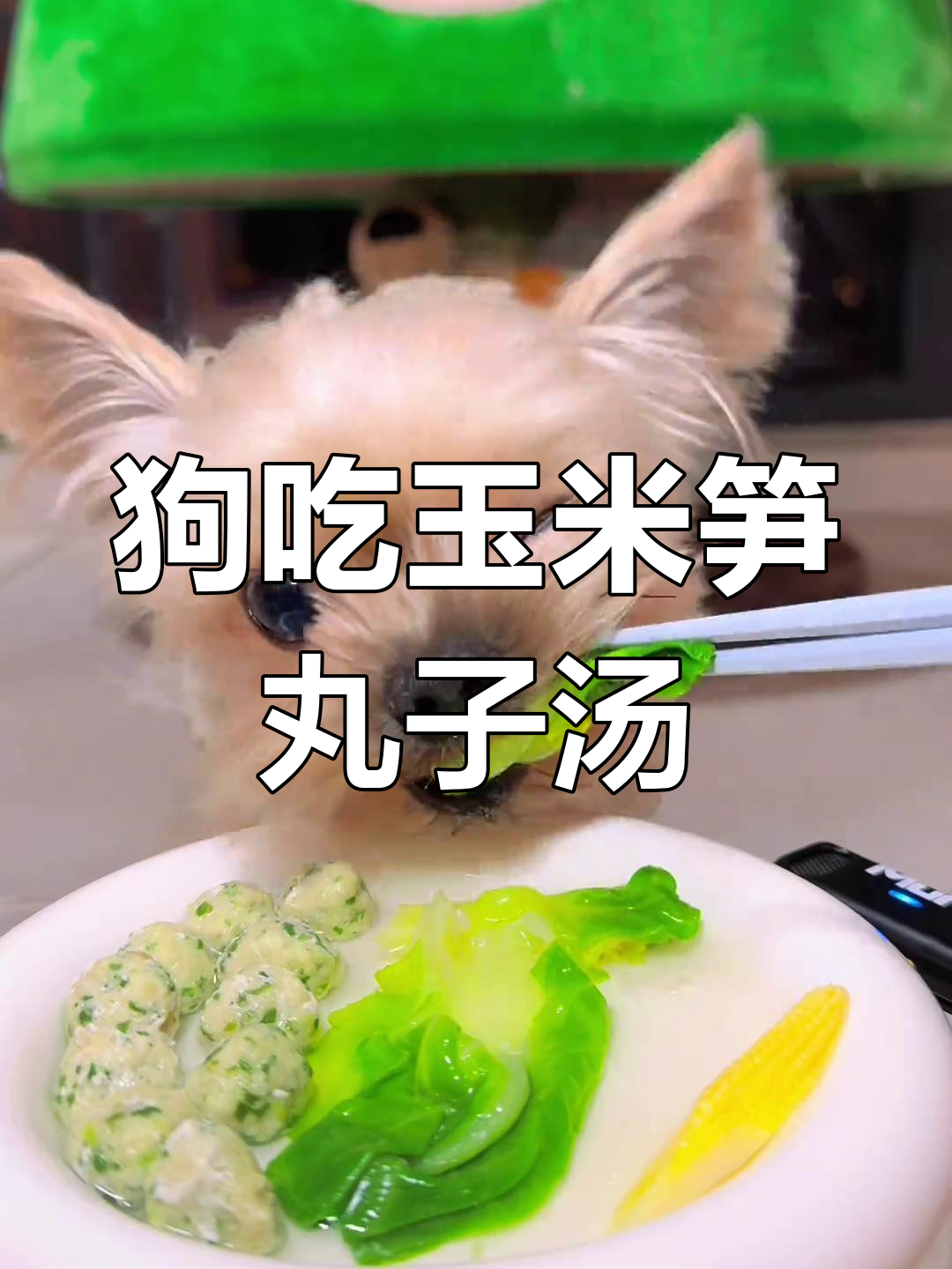 玉米笋白菜丸子汤,狗狗吃得超开心!