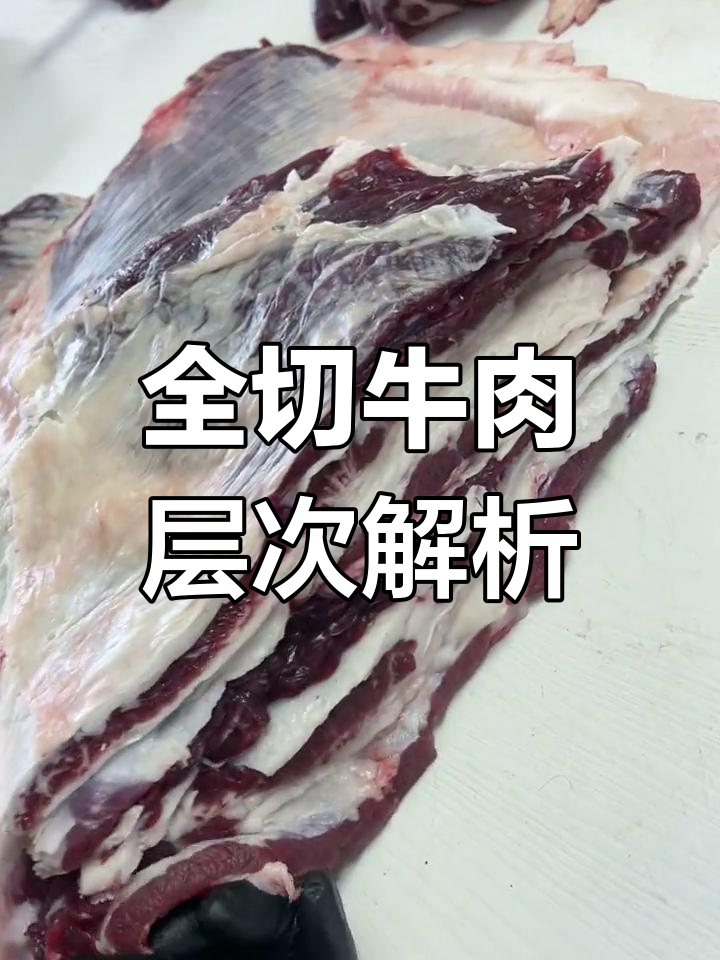 牛腩、梅花肉到腱子,全切牛肉大揭秘!