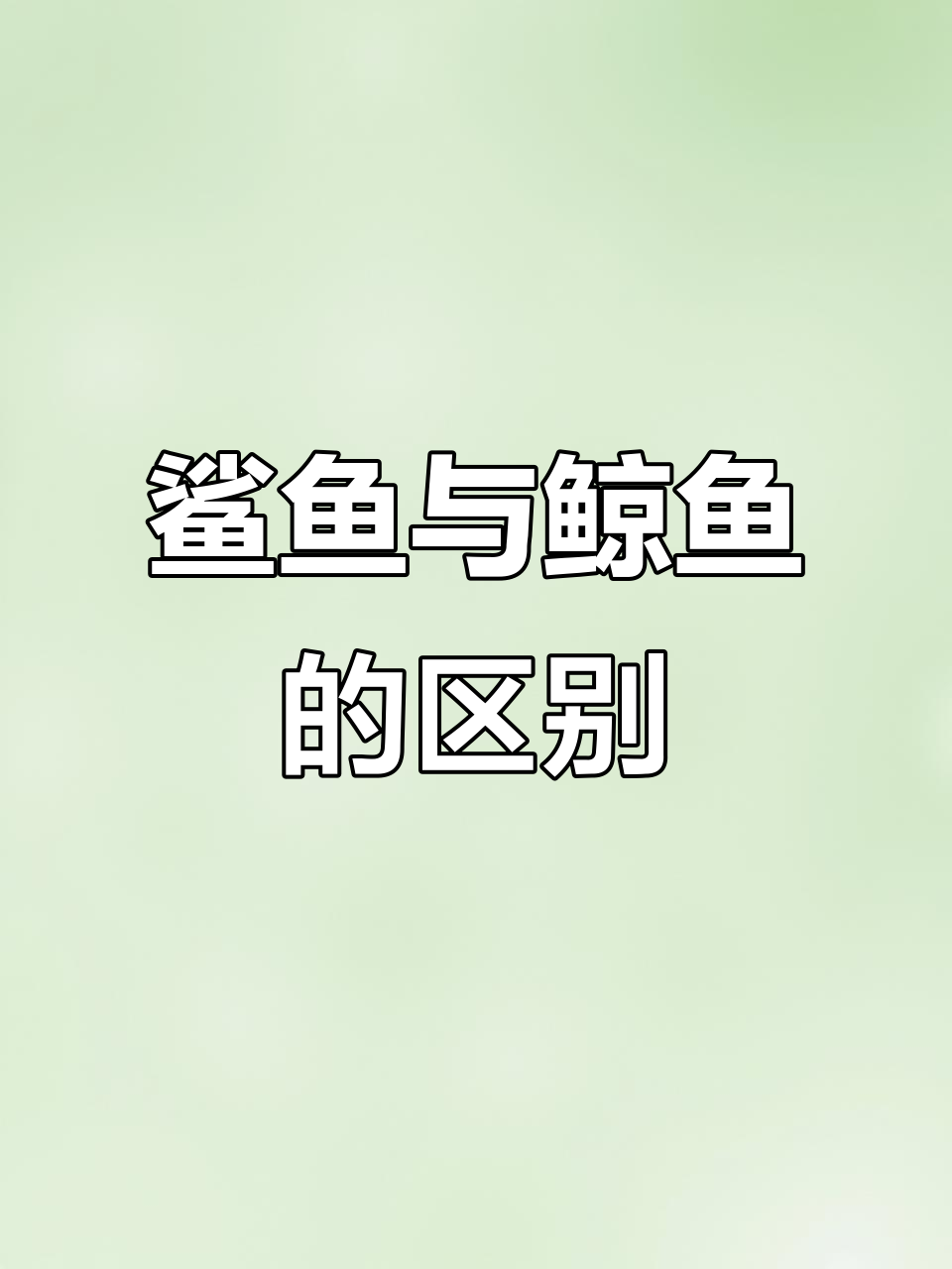 鲨鱼和鲸鱼的惊人差异，你了解吗？