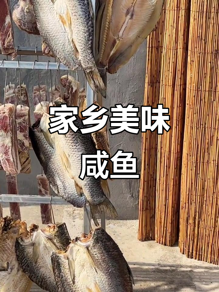 家乡青混子咸鱼,去头尾处理干净,蒸煮皆宜,香气扑鼻