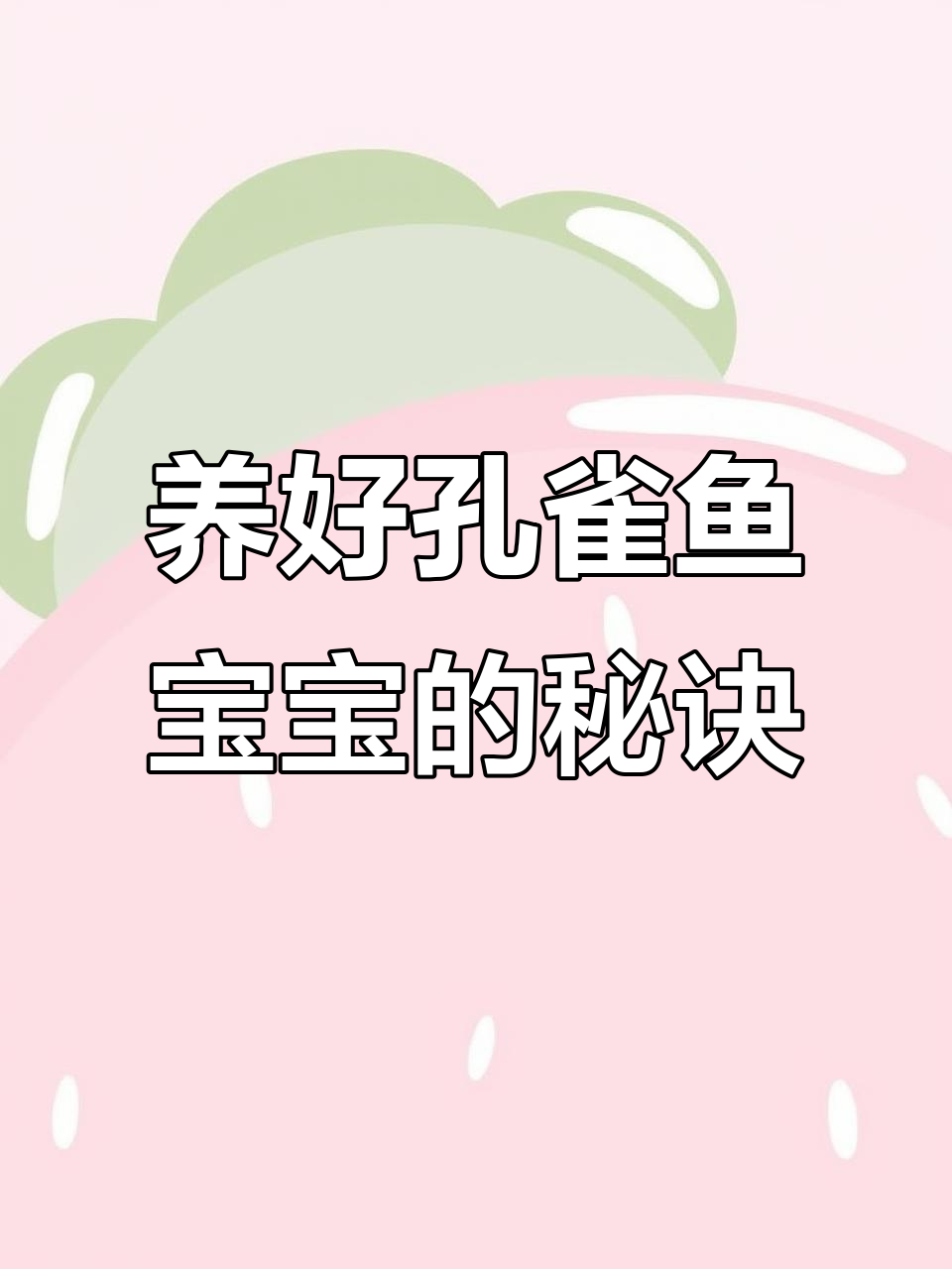 孔雀鱼宝宝养护全攻略:水质、温度、喂食与光照管理