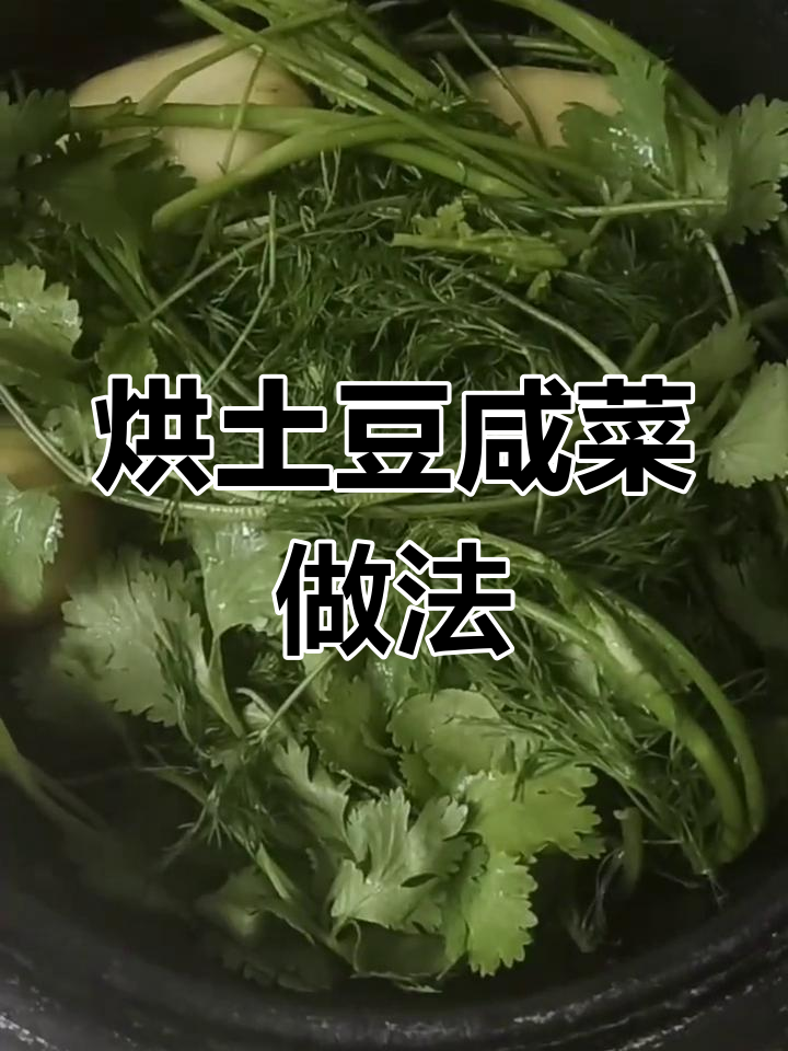 土豆咸菜烀制秘籍,茴香香菜加持更美味