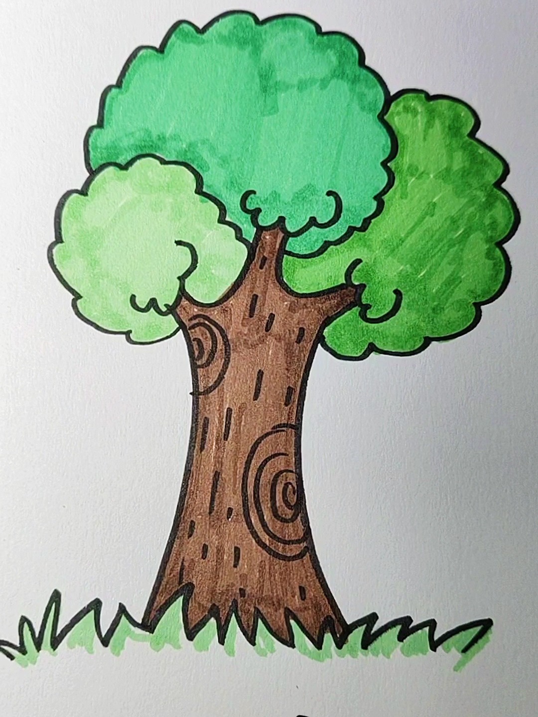 树简笔画