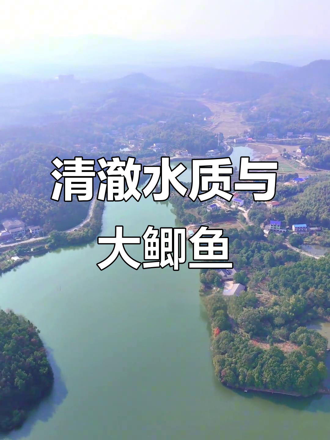 水质清澈,大爷钓到五斤鲫鱼,今天特地来欣赏