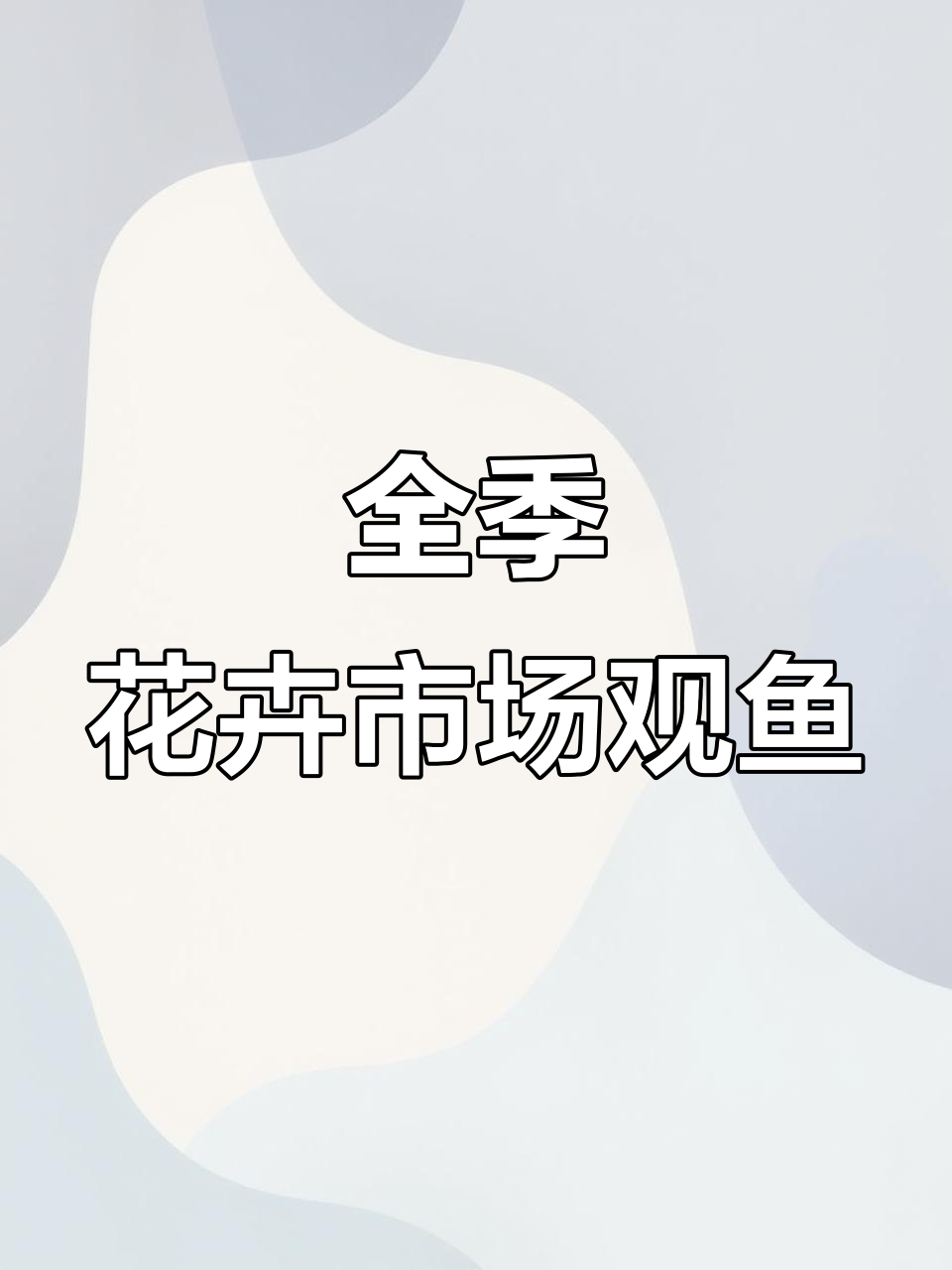 呼和浩特全季花卉市场27号酷鱼馆,观赏鱼与茉莉拉的奇妙邂逅