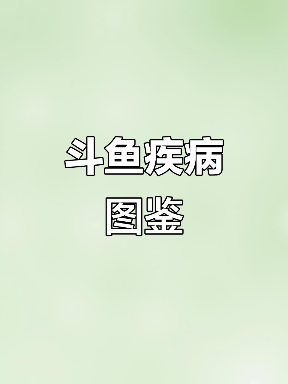 斗鱼常见18种疾病及治疗方法全解析