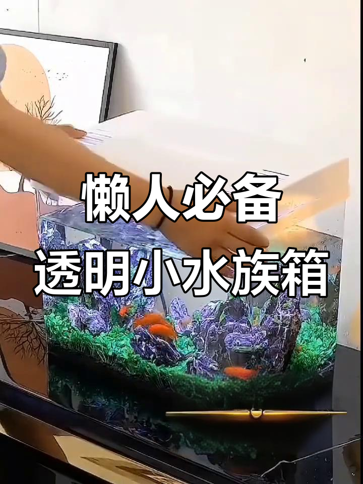 小型客厅水族箱,免换水设计让养鱼更轻松
