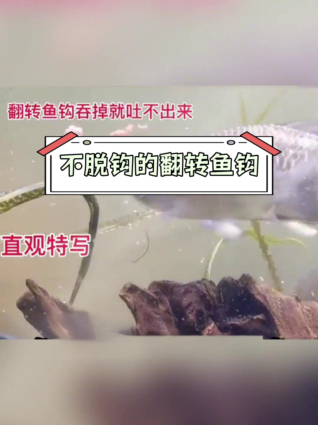 这款鱼钩让鱼儿无法吐出,轻松钓上大鱼