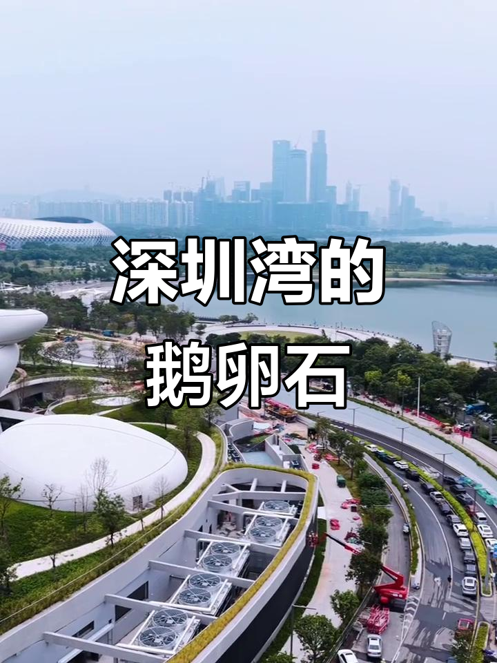 从空中看深圳湾,鹅卵石般的独特造型令人惊叹!