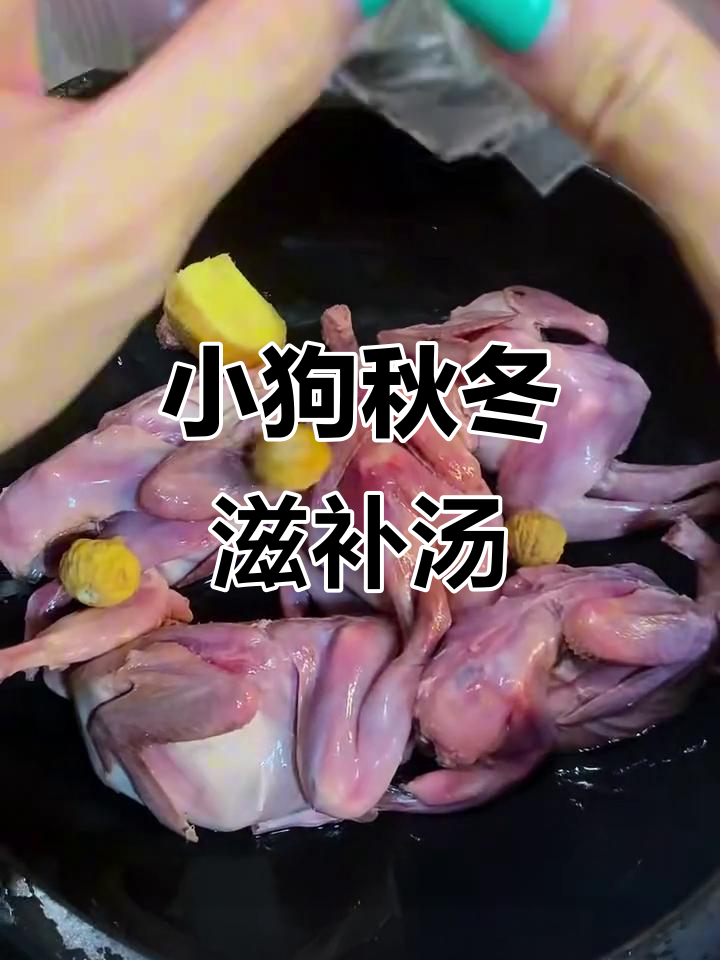秋季滋补鹧鸪汤,健脾补气又润肺