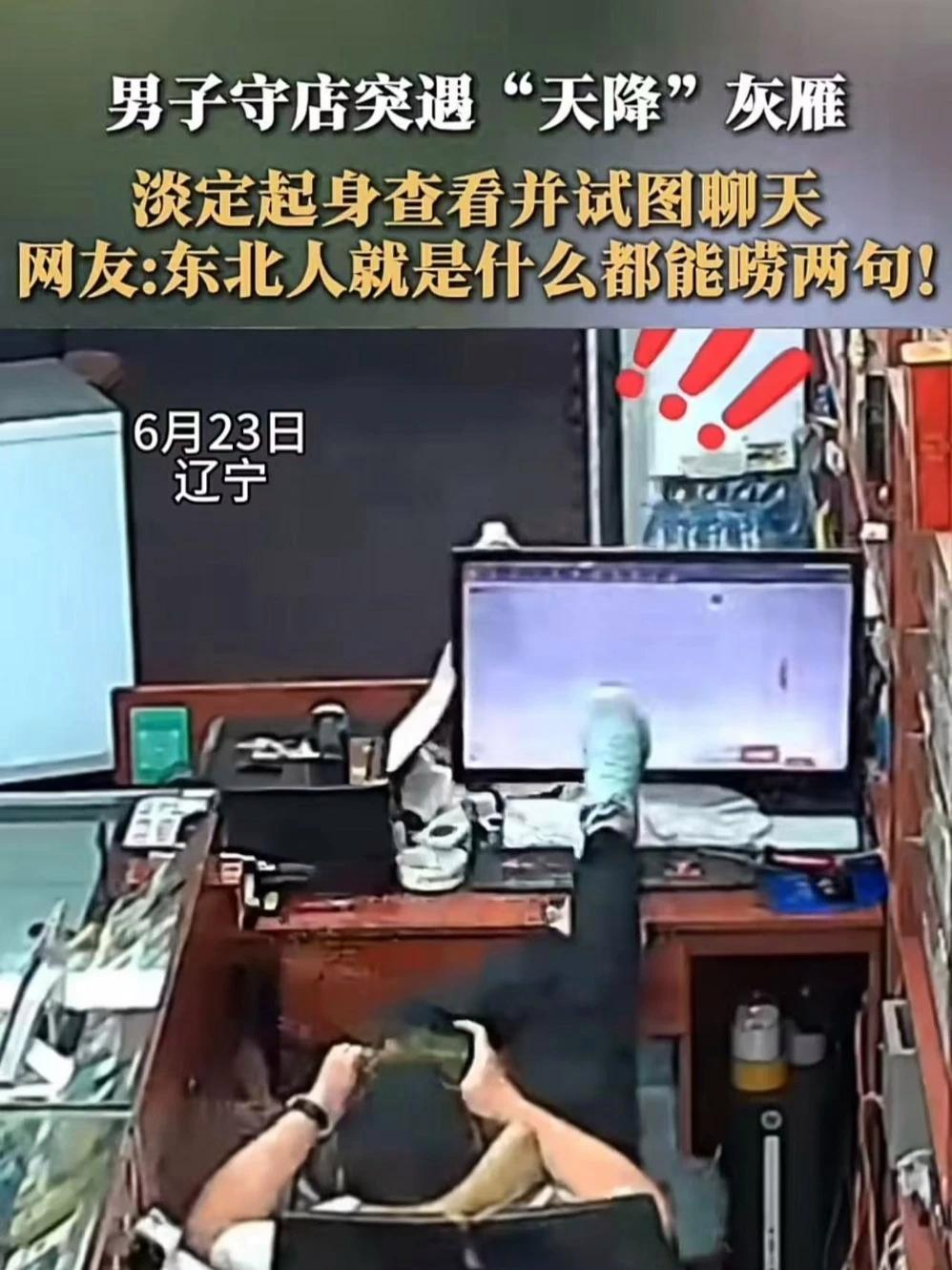 吃火锅 麻辣烫 肥牛饭 少不了这肥牛卷,肴老板家的澳洲原切肥牛卷品质好 价格还合适 火锅 
