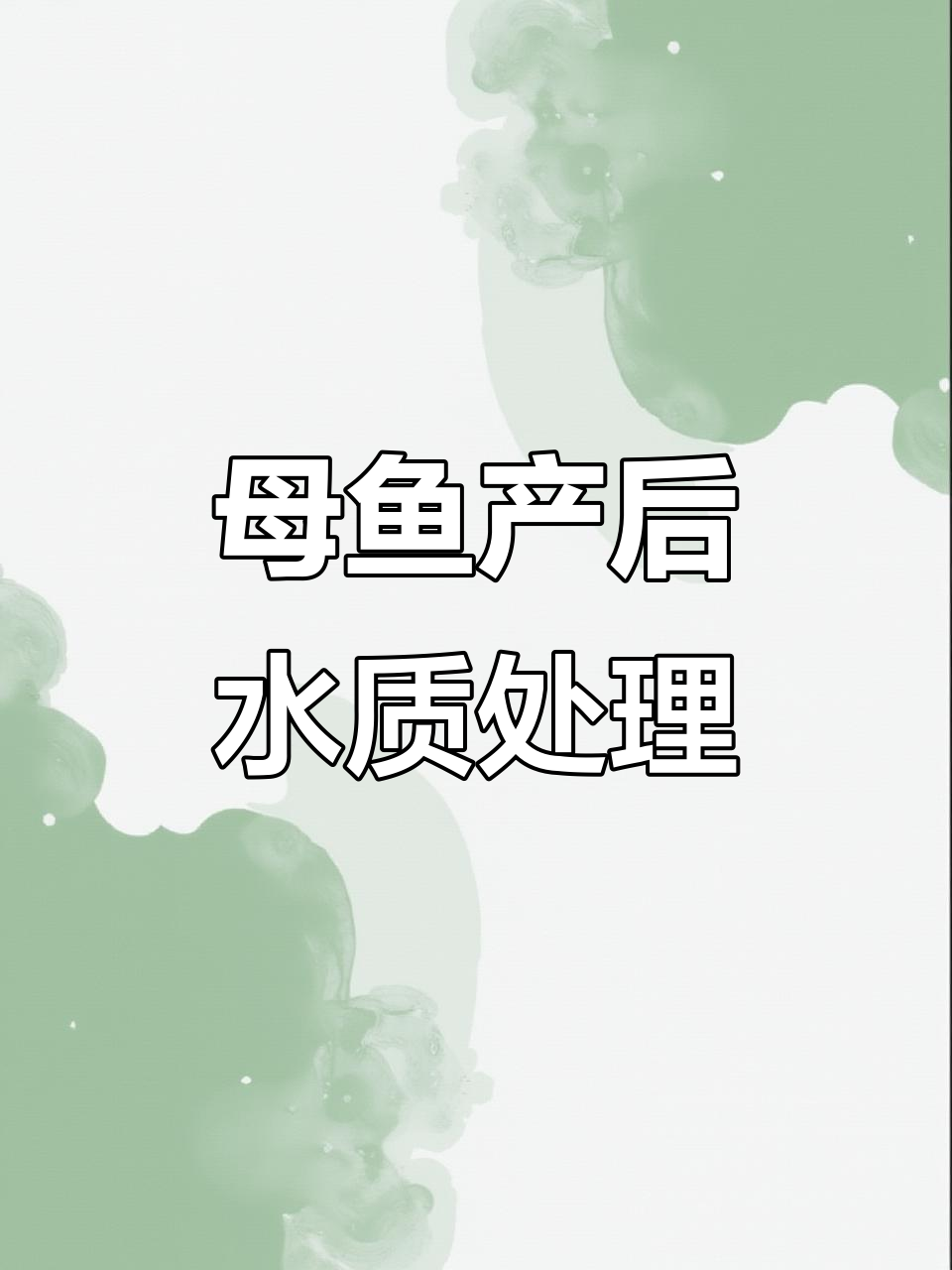 孔雀鱼生仔后水质管理技巧,如何避免大鱼吃掉小鱼