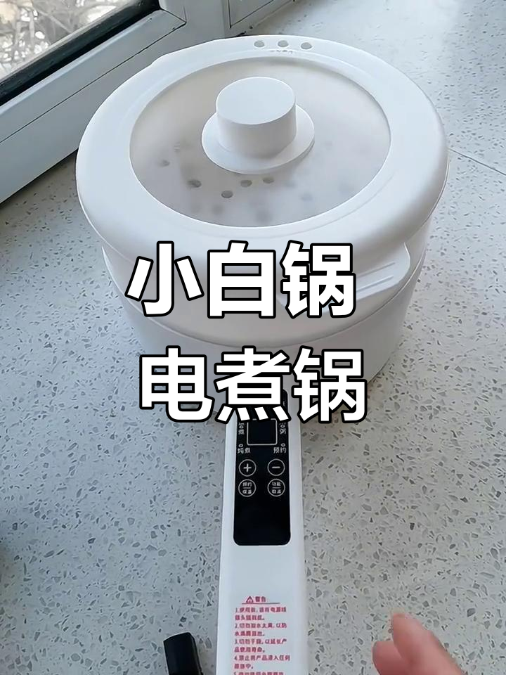 荣事达小白锅:多功能电煮锅,适合小家庭使用