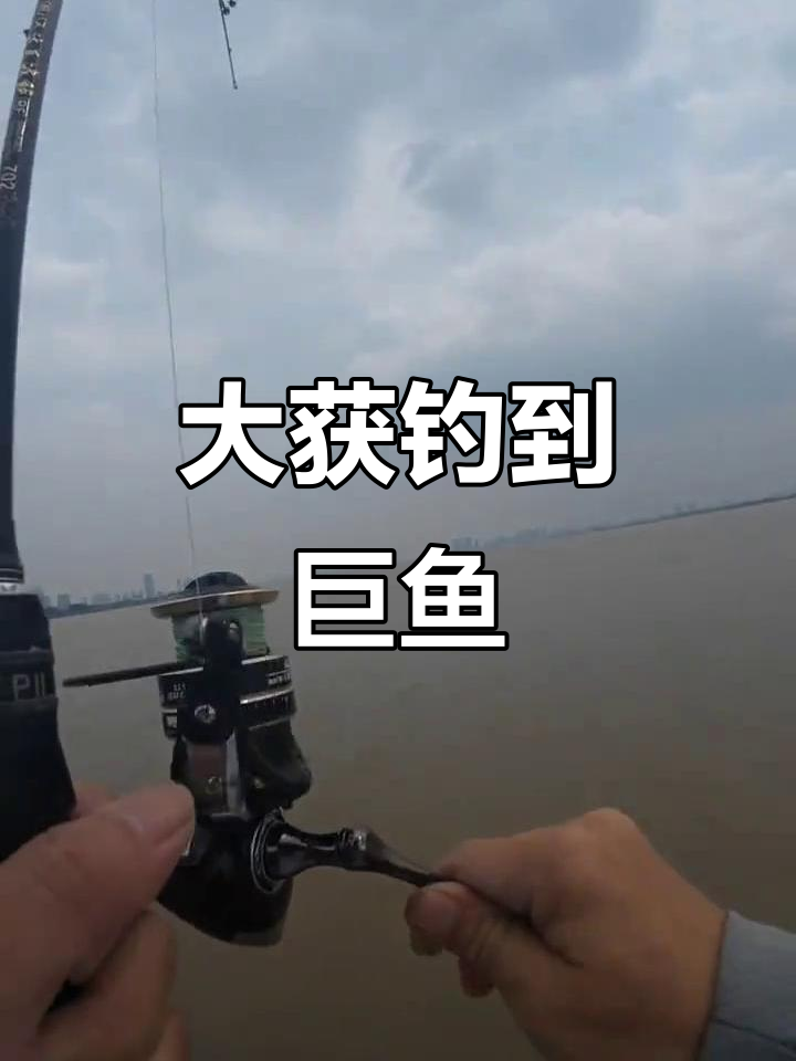 钱塘江钓鱼大丰收,偶遇巨型猛鱼!