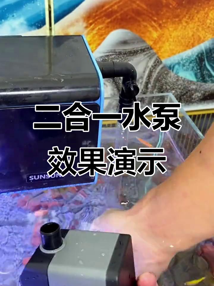 潜水泵与过滤器搭配使用,轻松增氧循环