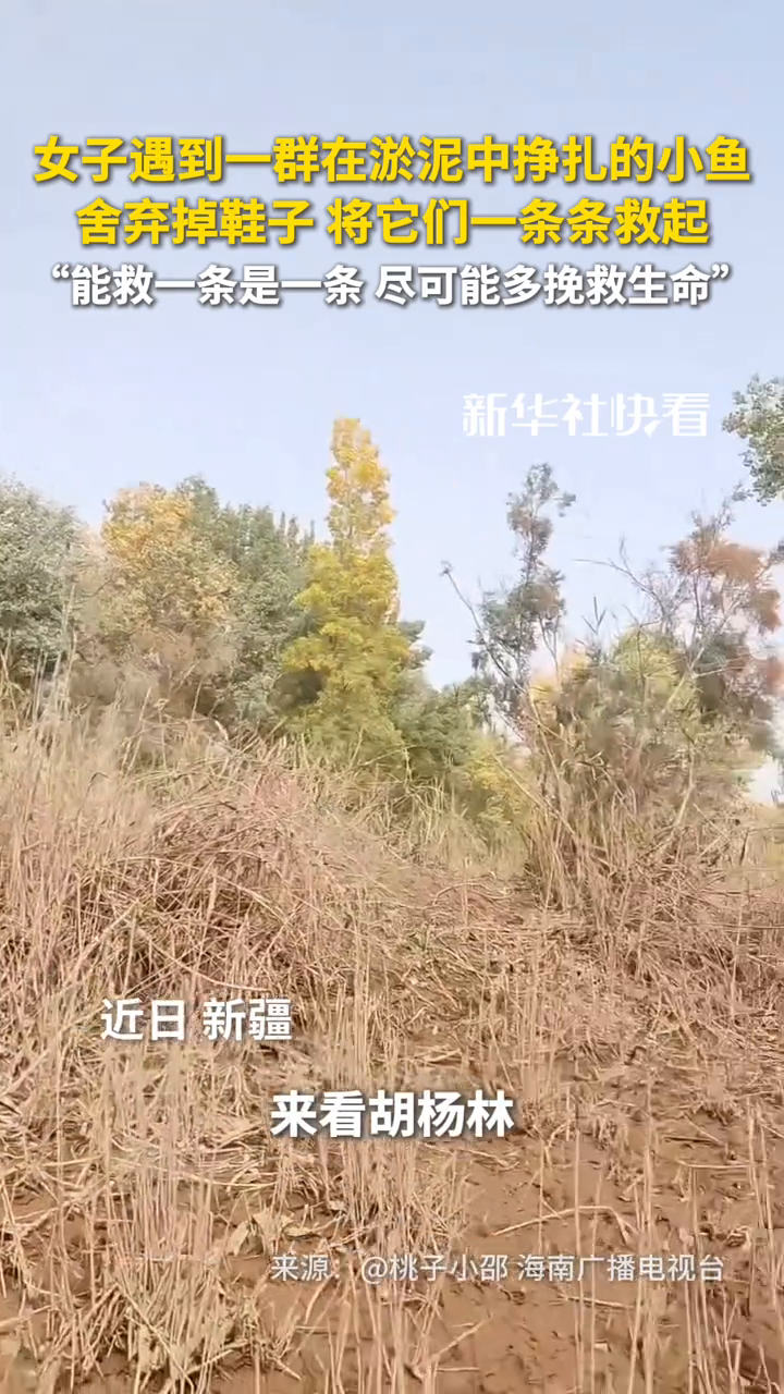 女生遇到一群在淤泥中挣扎的小鱼,舍弃掉鞋子,将它们一条条救起