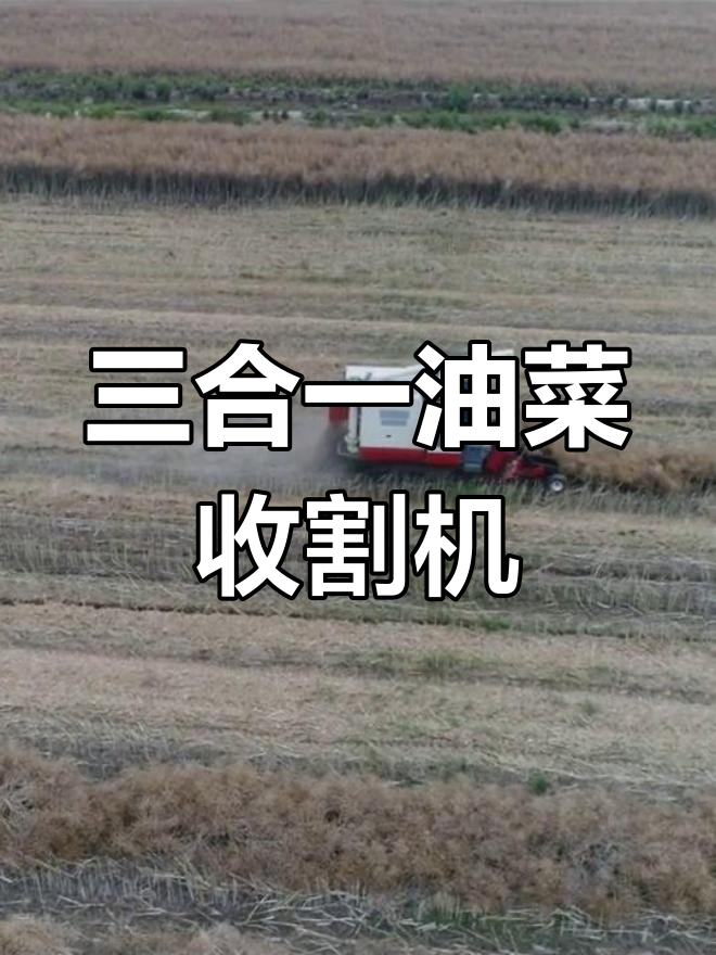 现代农业新利器:油菜收割机,三种收获模式一键切换!