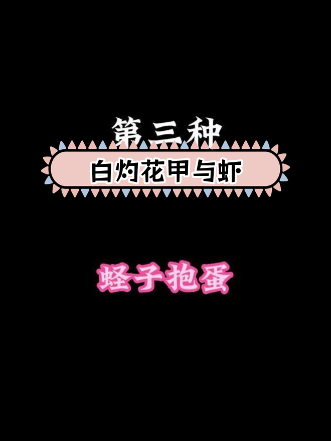 海鲜做法大揭秘,白灼与爆炒的完美搭配