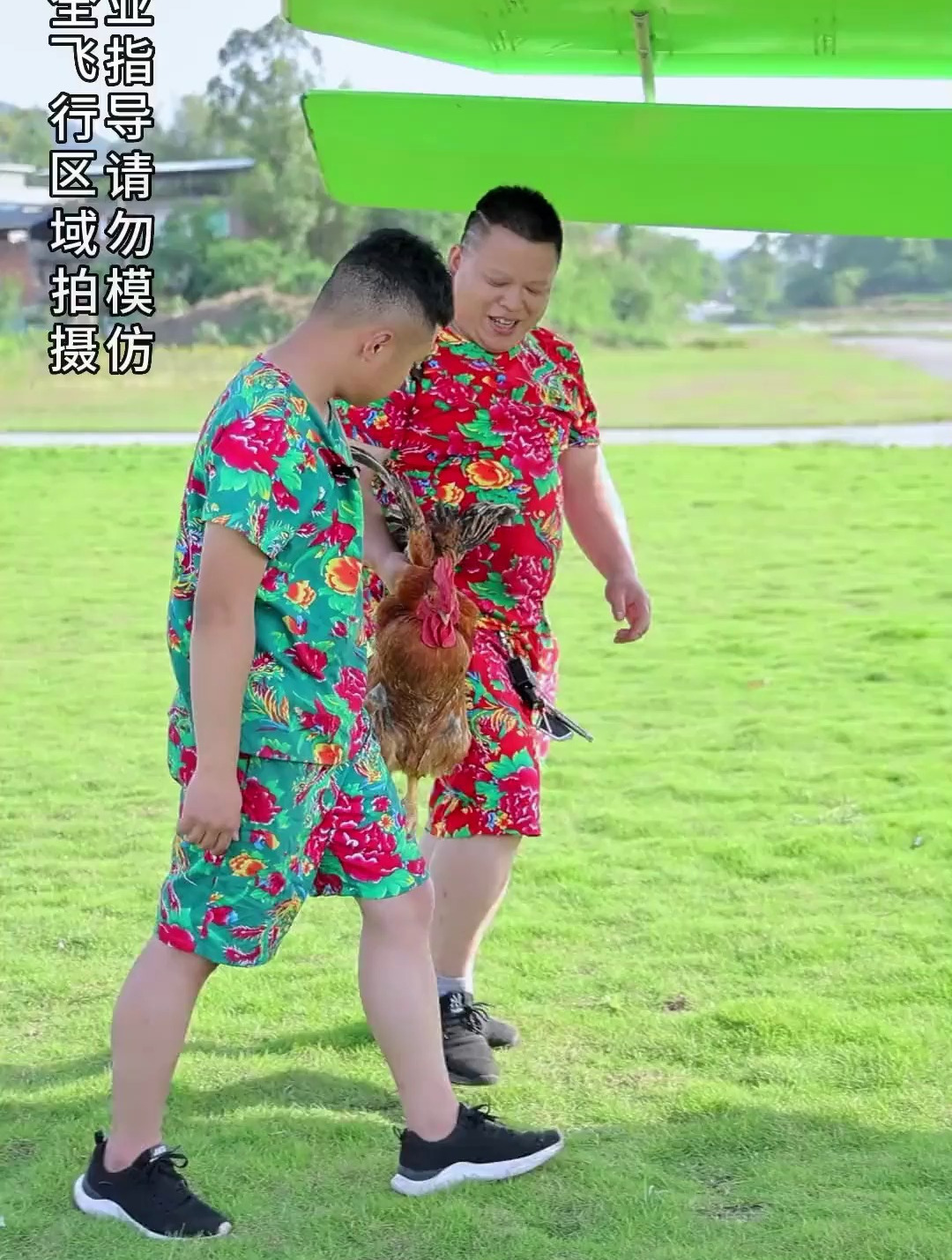 周二娃和三娃子提了一只大红公鸡去坐飞机,拿来正好做一道烧鸡公