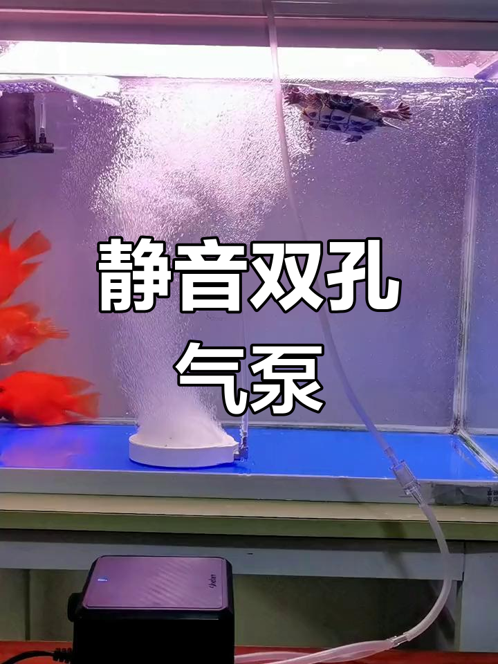 这款气泵静音高效,调节氧气量轻松满足各种鱼缸需求