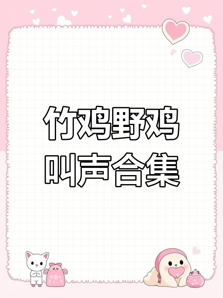 竹鸡与野鸡的户外叫声,冲堂音大比拼