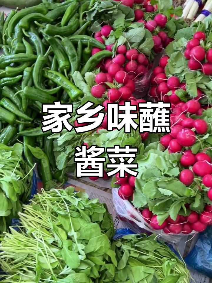 新鲜东北蔬菜大集合,蘸酱菜必备