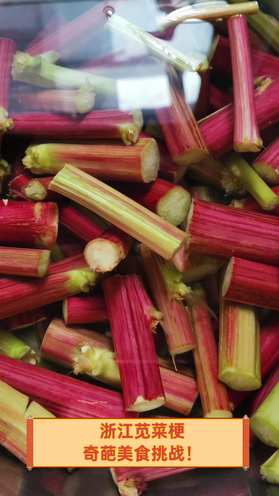 浙江苋菜梗，奇葩美食挑战！