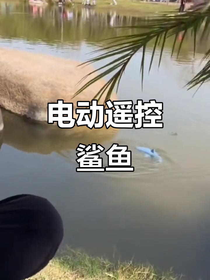 这款电动鲨鱼,科技感十足,公园玩耍喷水超吸引眼球!