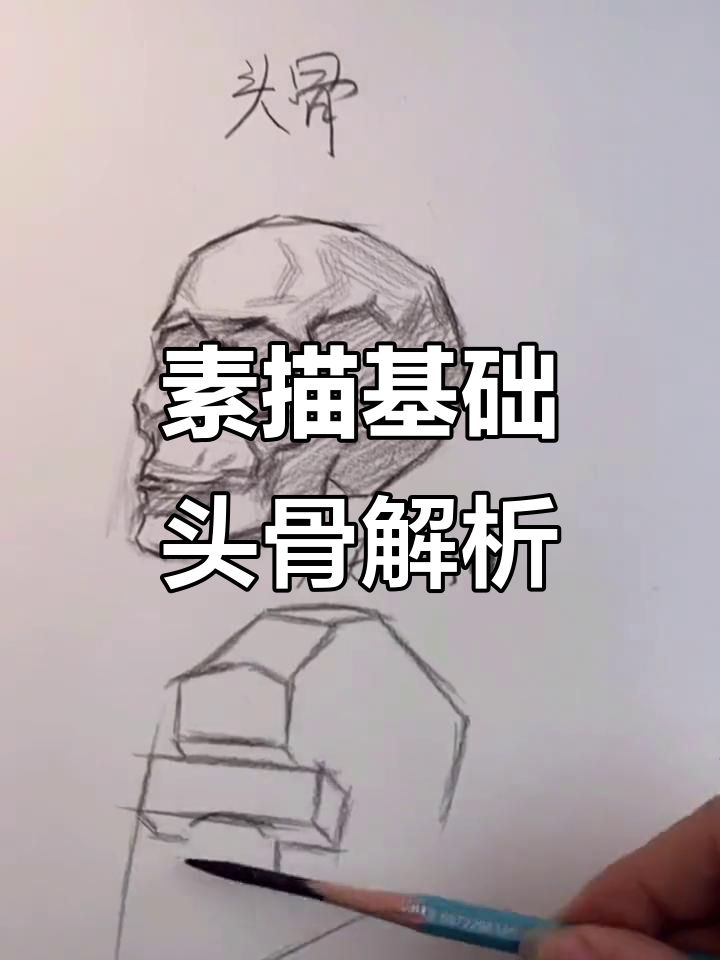 素描人物前,先掌握头骨结构