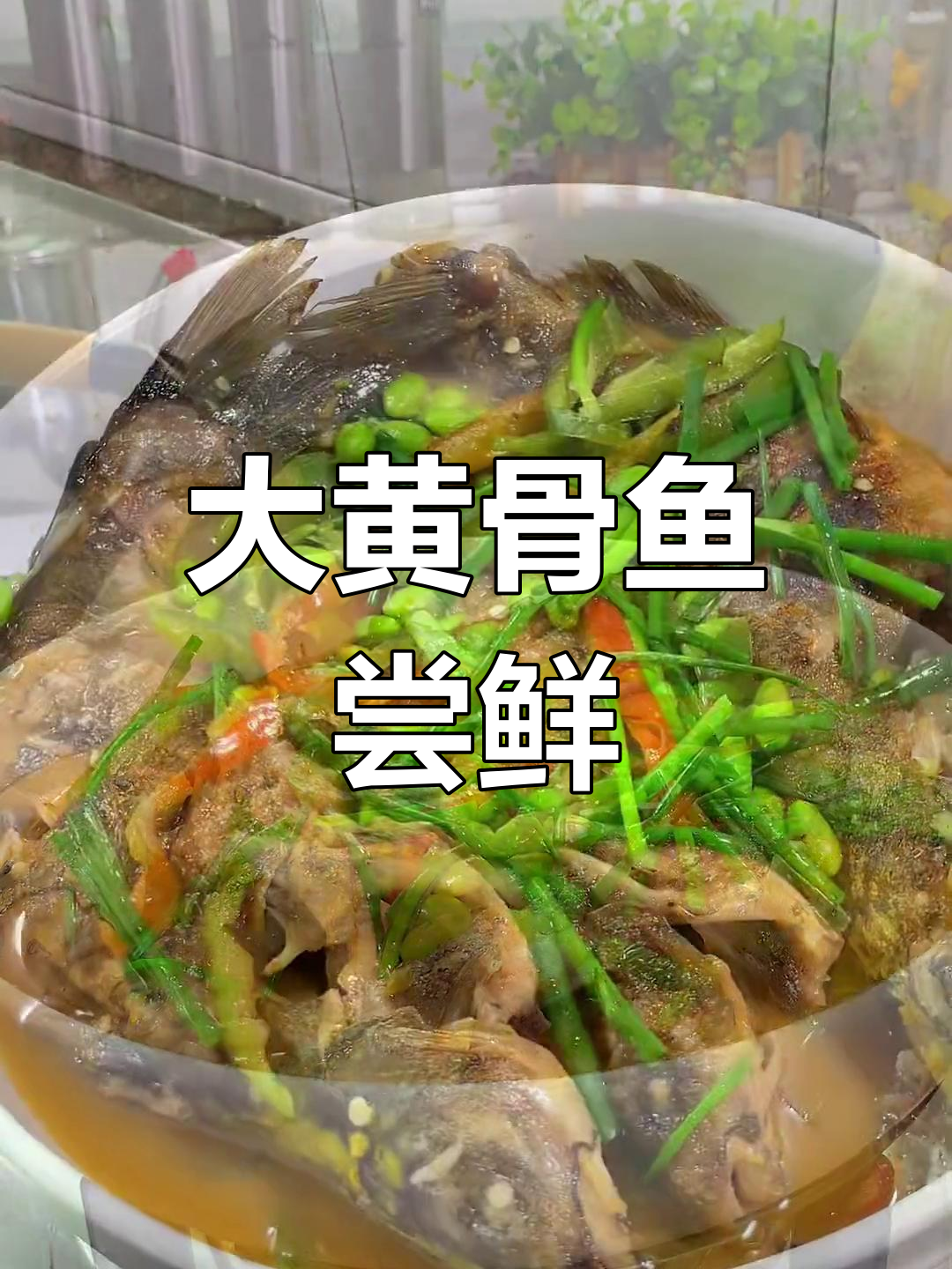 第一次尝试超大黄骨鱼,感觉还是小的好吃