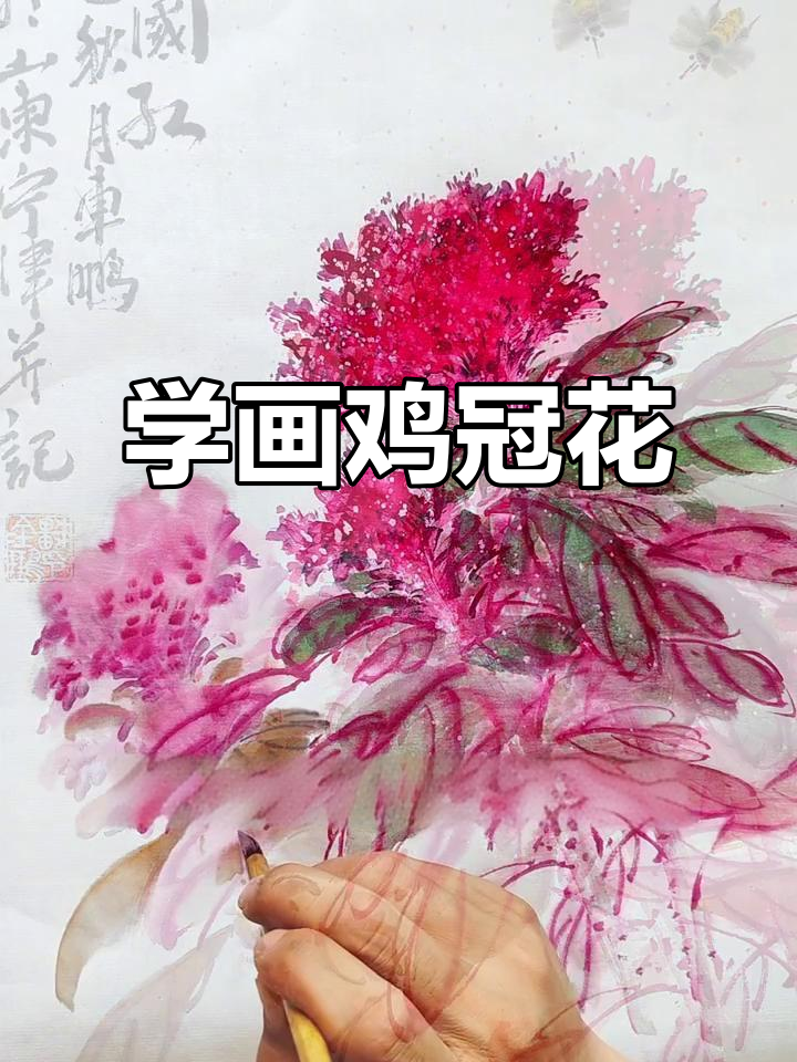 鸡冠花画法入门，掌握写意技巧