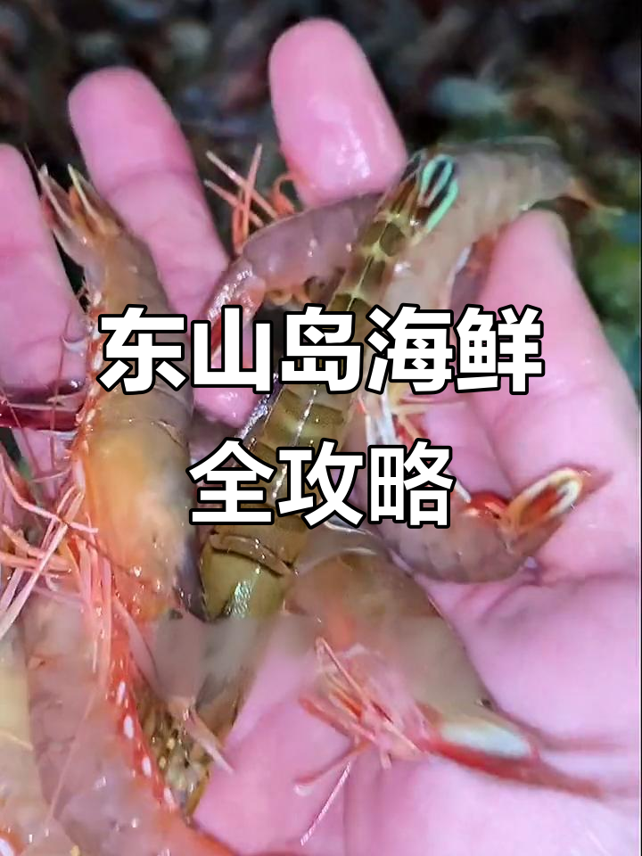 福建东山岛海鲜大揭秘:樱花虾、蓝尾海沙鲁等美味来袭