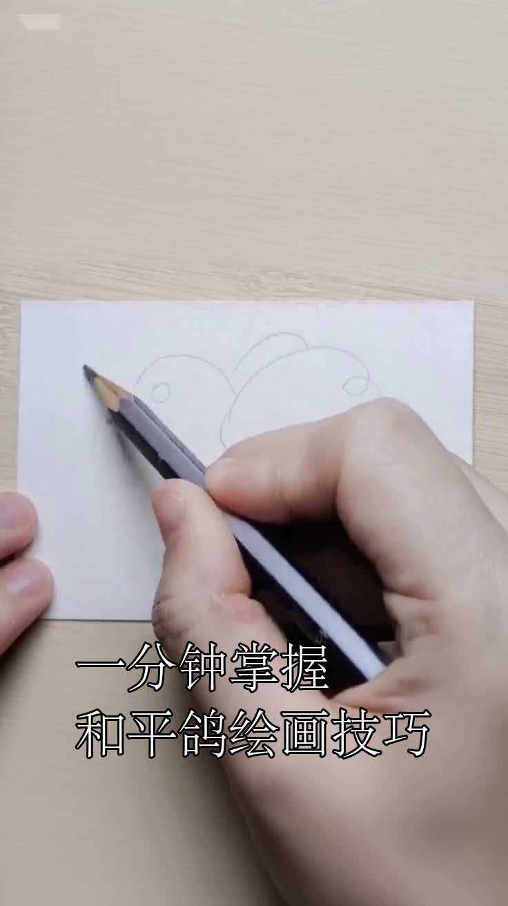 一分钟掌握和平鸽绘画技巧