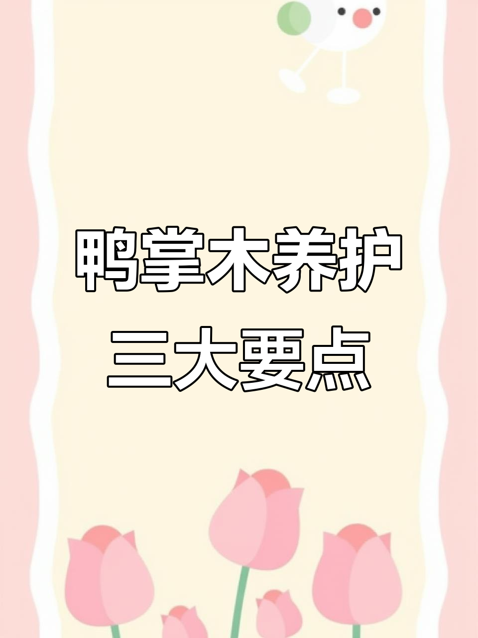鸭掌木叶片暗淡,新枝少?可能是这三点没做好