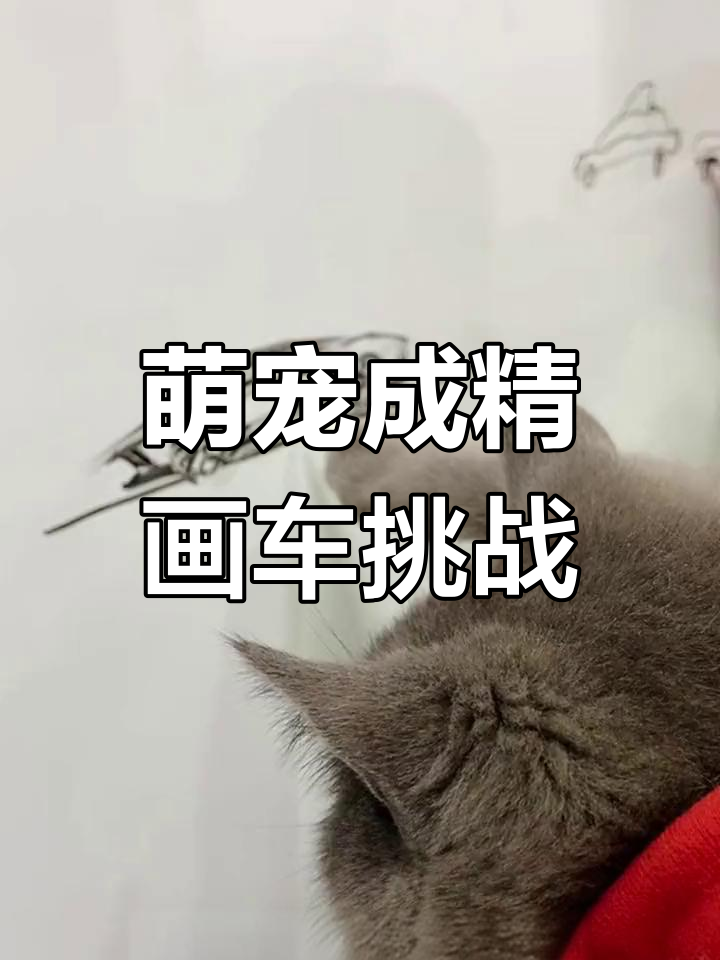 猫咪也能画兰博基尼,挑战全网最会画画猫