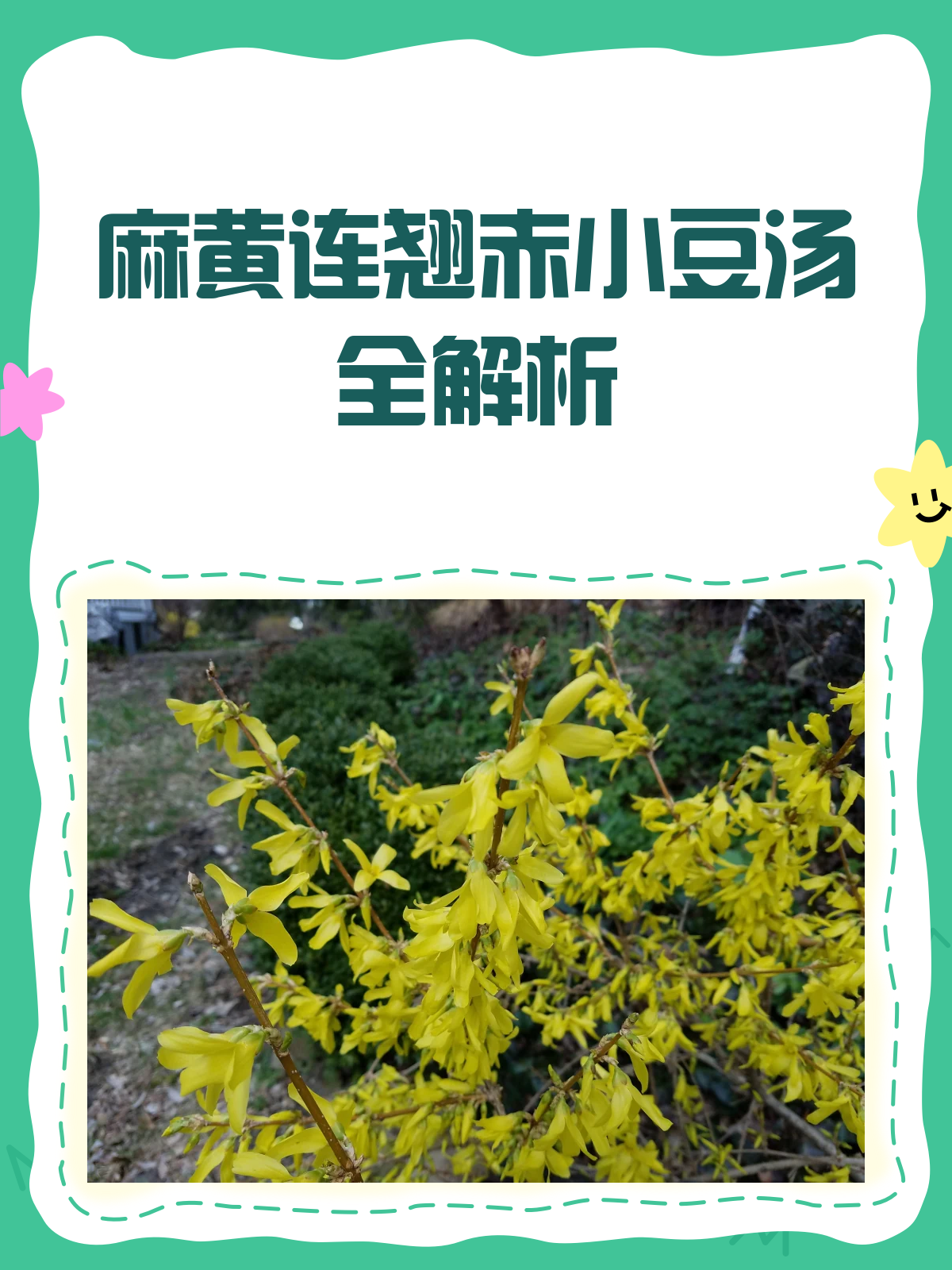 麻黄连翘赤小豆汤,你真的了解吗?