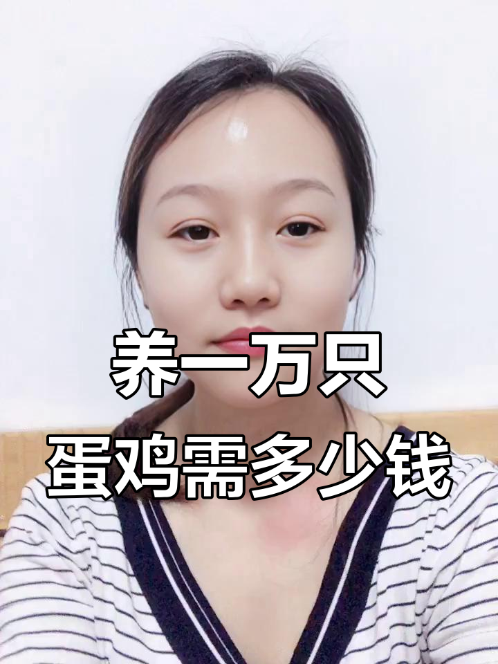 养殖1万只蛋鸡设备投资分析:层叠与阶梯楼哪种更省钱?