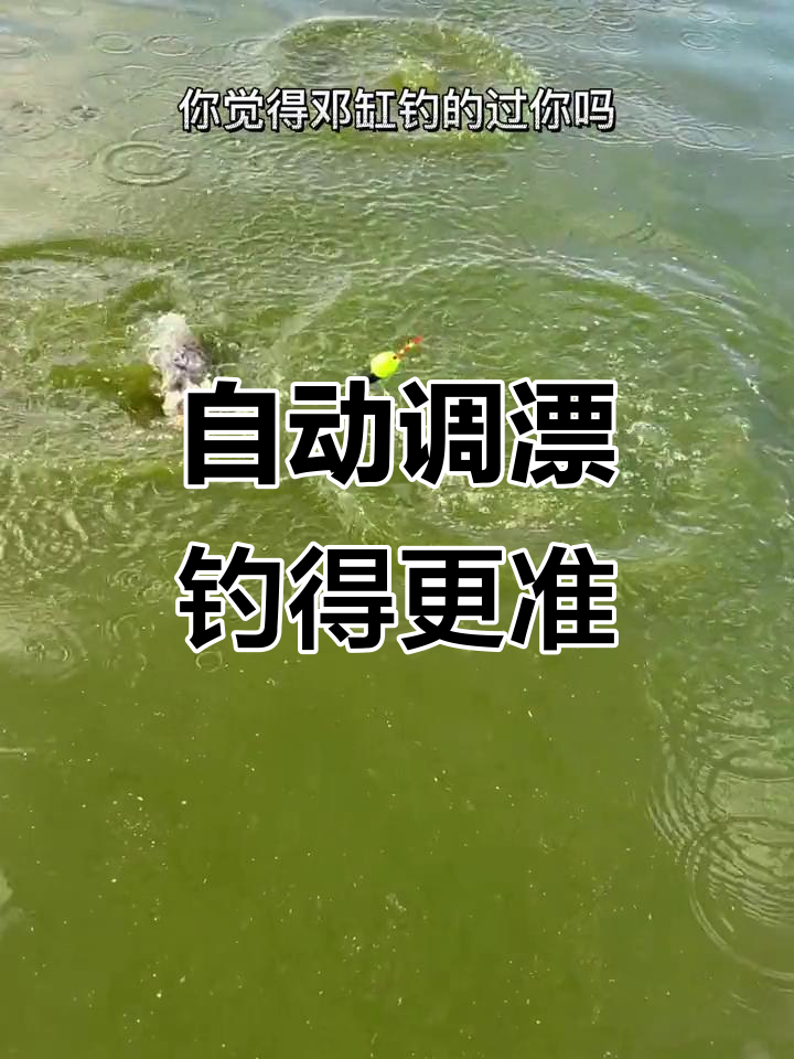 150年前漂入水自动调,钓鱼更轻松