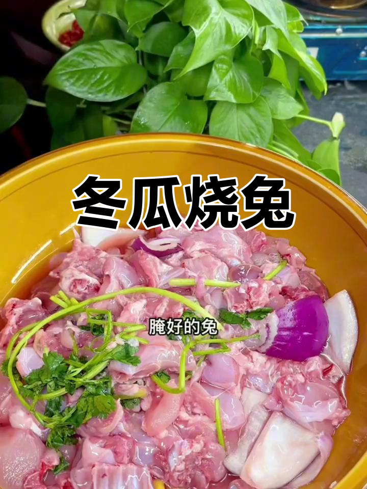 冬瓜兔肉麻辣鲜香,嫩滑入味不柴