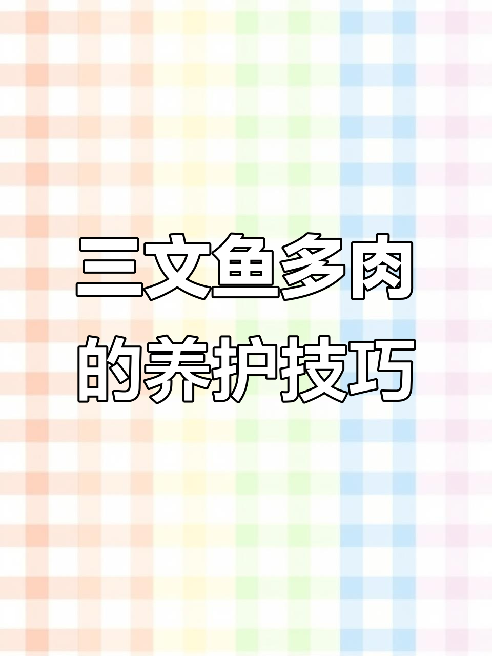 三文鱼多肉:叶片肥厚,出状态变红带血斑