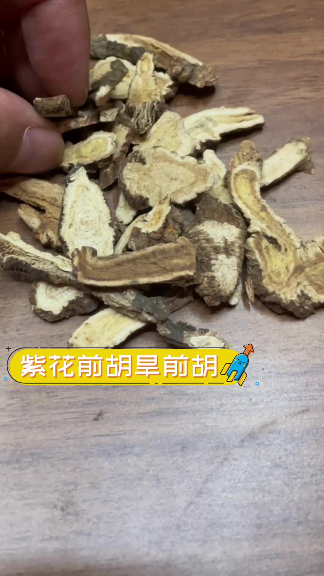 紫花前胡旱前胡