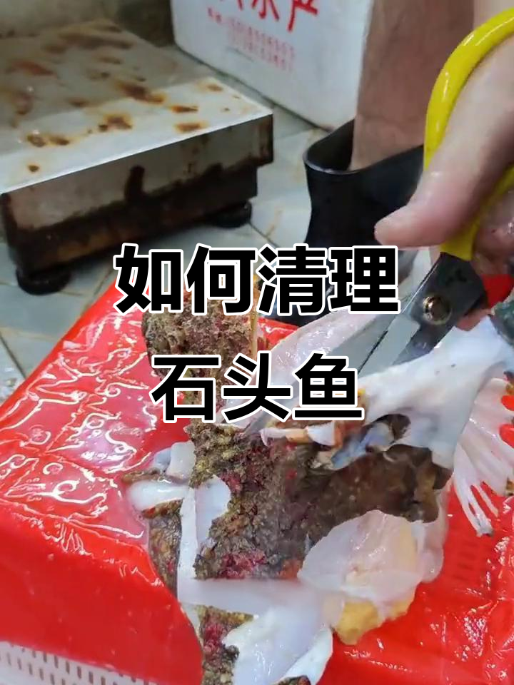 石头鱼处理技巧大揭秘,教你轻松去鳞剥皮