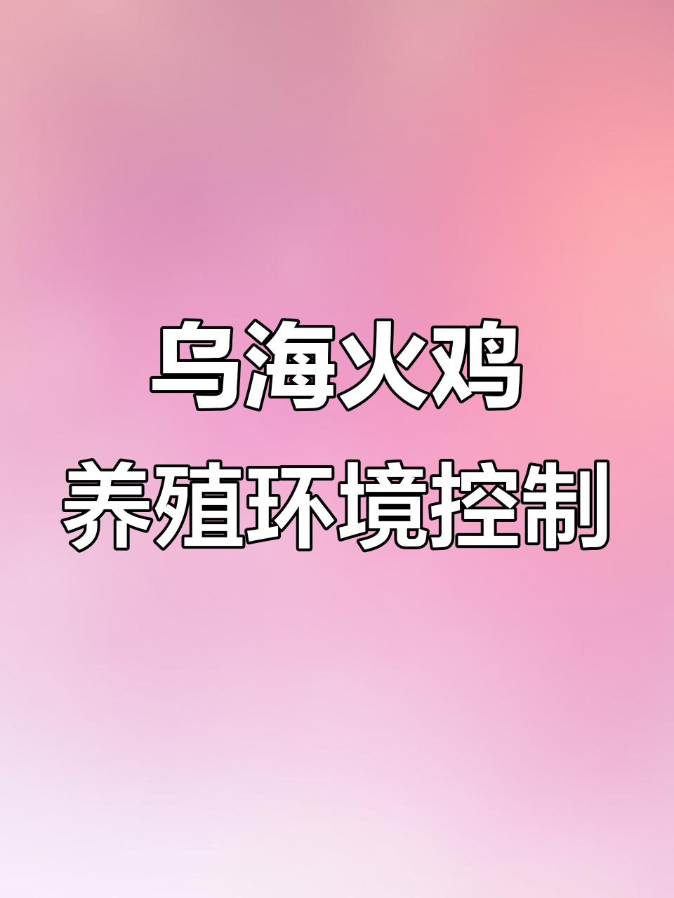 乌海市火鸡养殖基地环境因素分析,如何避免呼吸道疾病